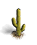 Deco Cactus 1
