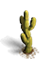 Deco Cactus 2