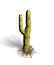 Deco Cactus 3